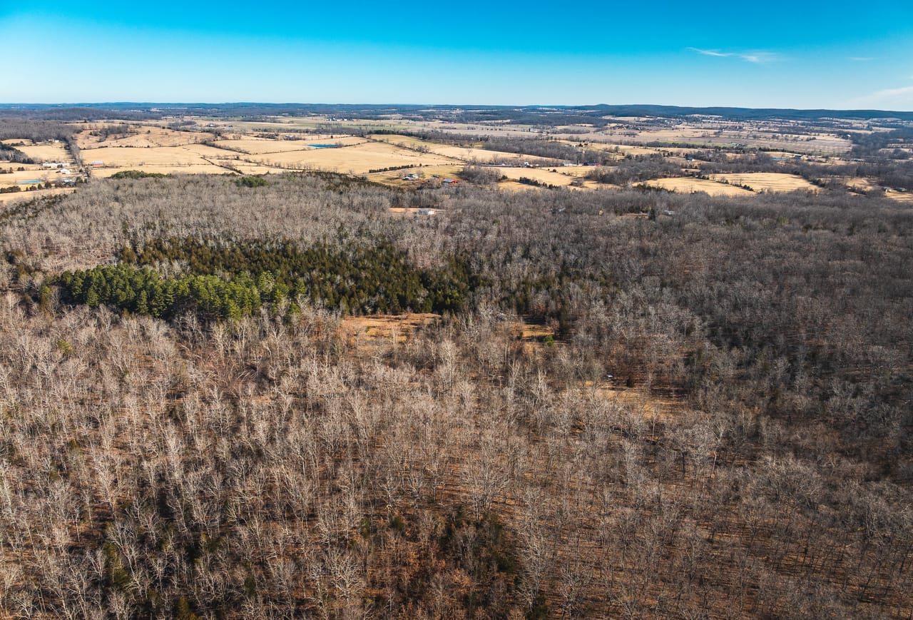 St. Francois Deer and Recreation tract 2