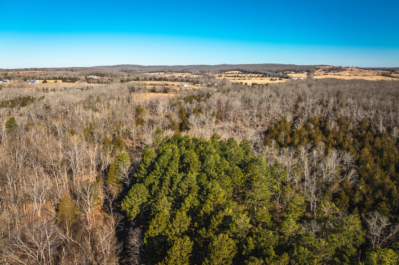 St. Francois Deer and Recreation tract 2