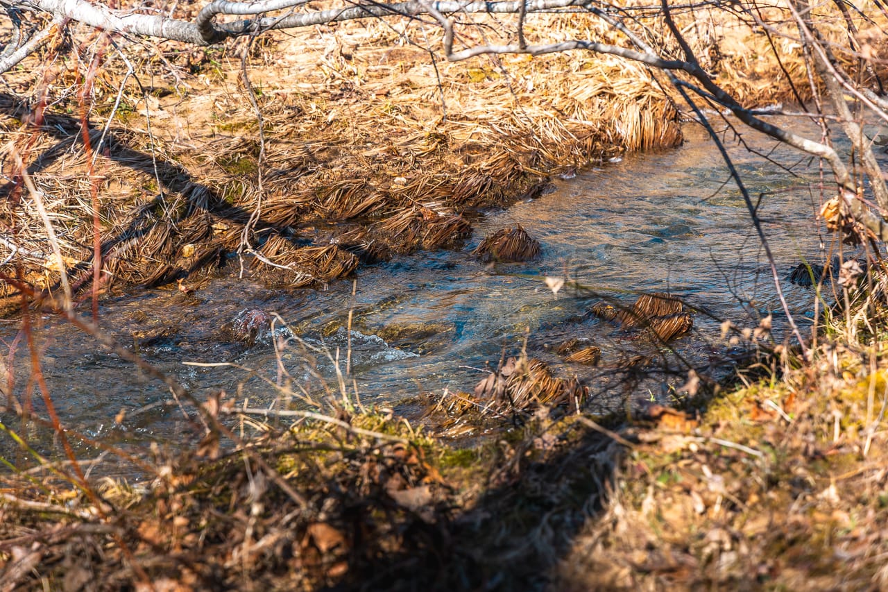 St. Francois Deer and Recreation tract 2