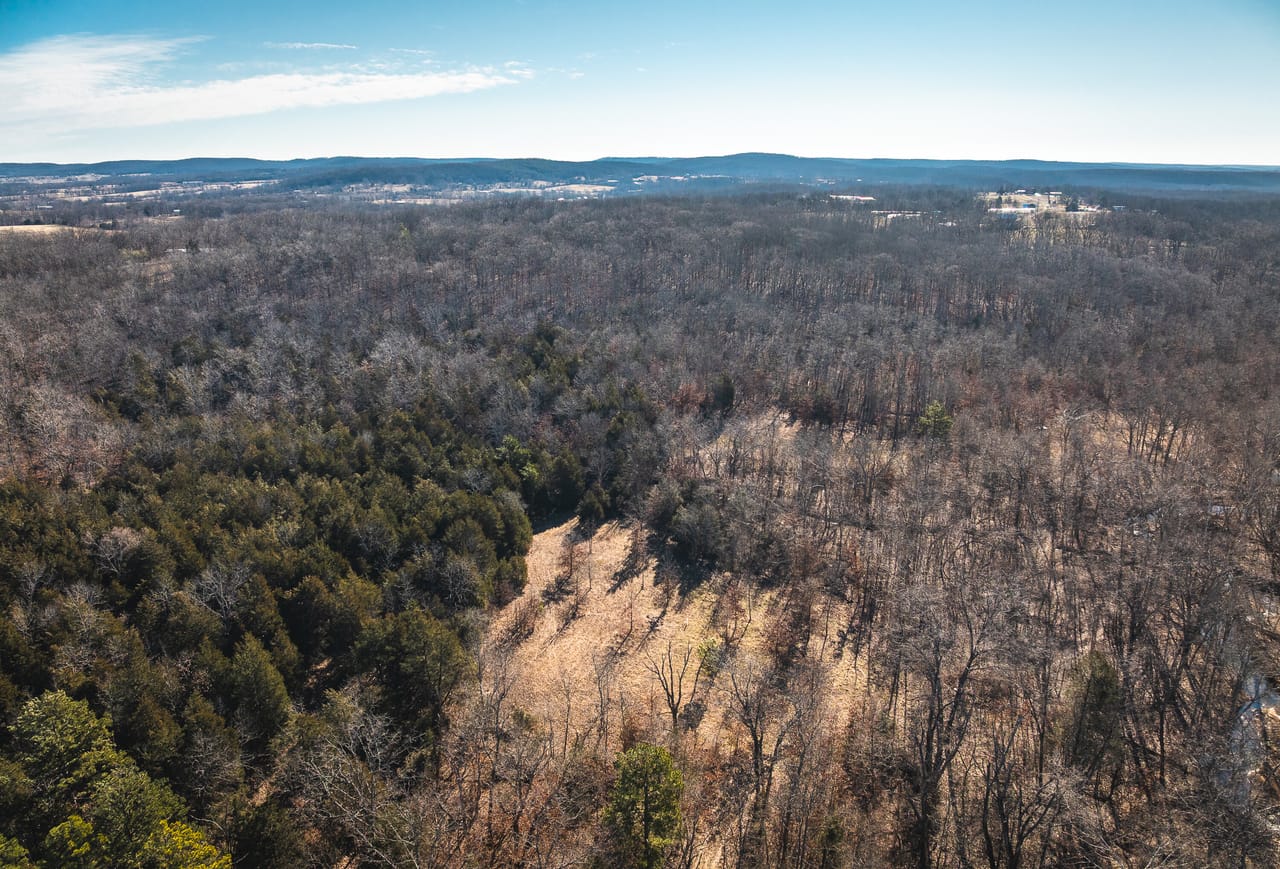 St. Francois Deer and Recreation tract 2