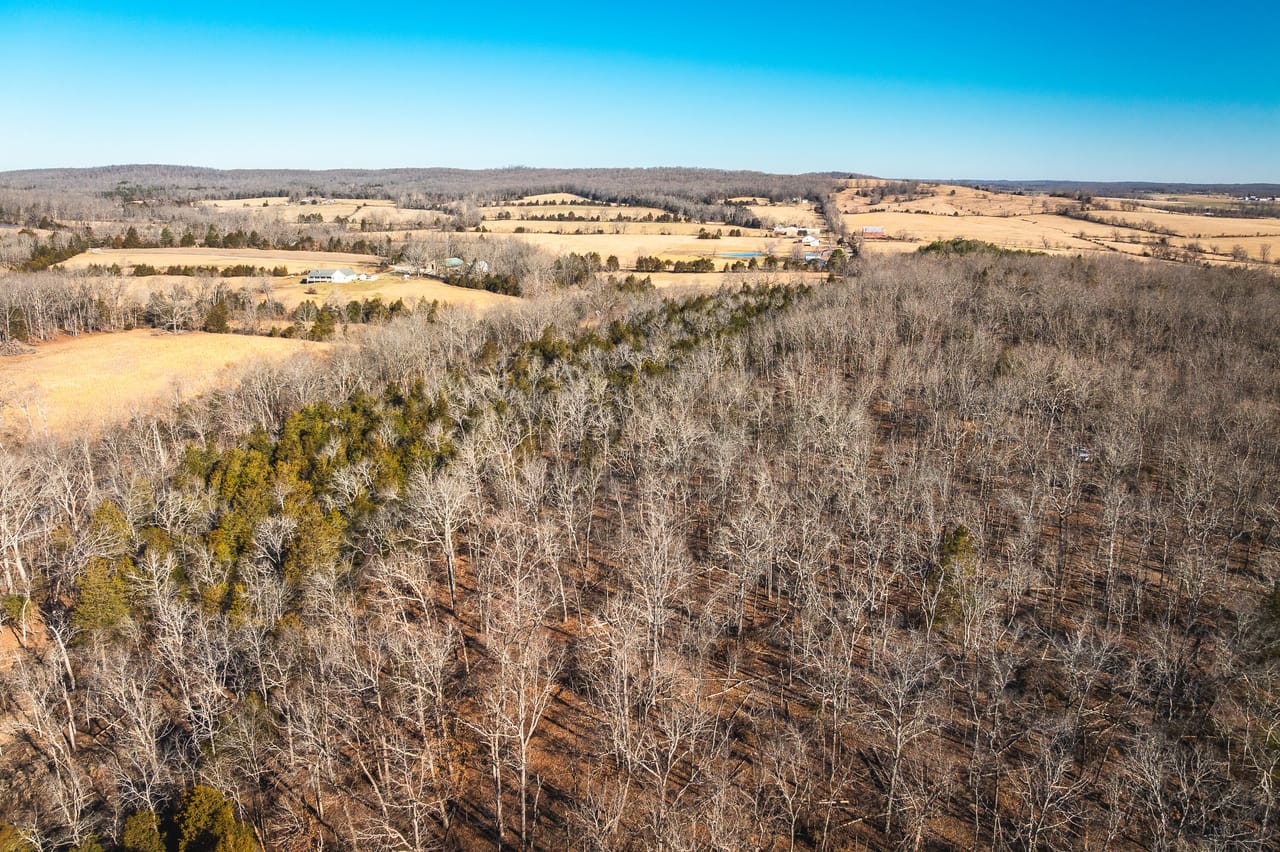St. Francois Deer and Recreation tract 2