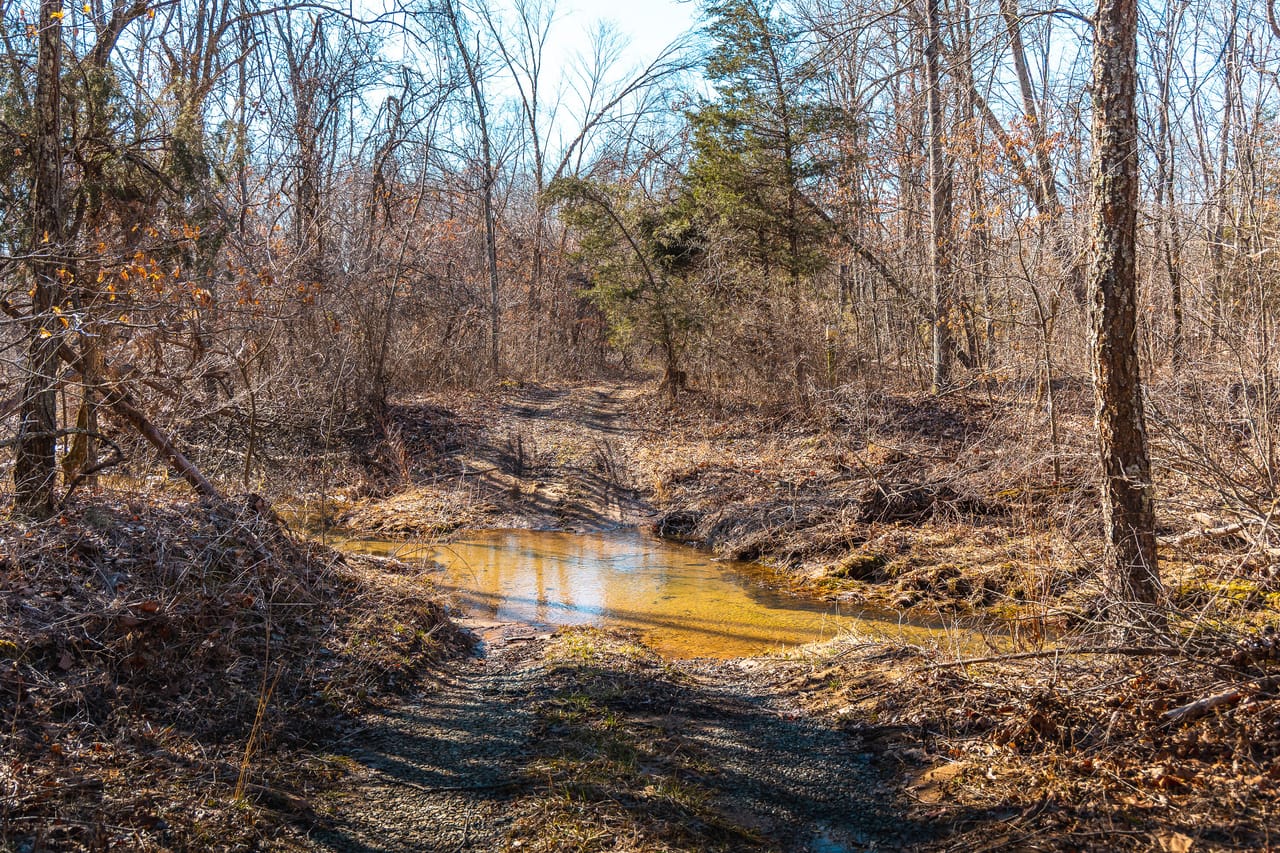 Listing Image 17