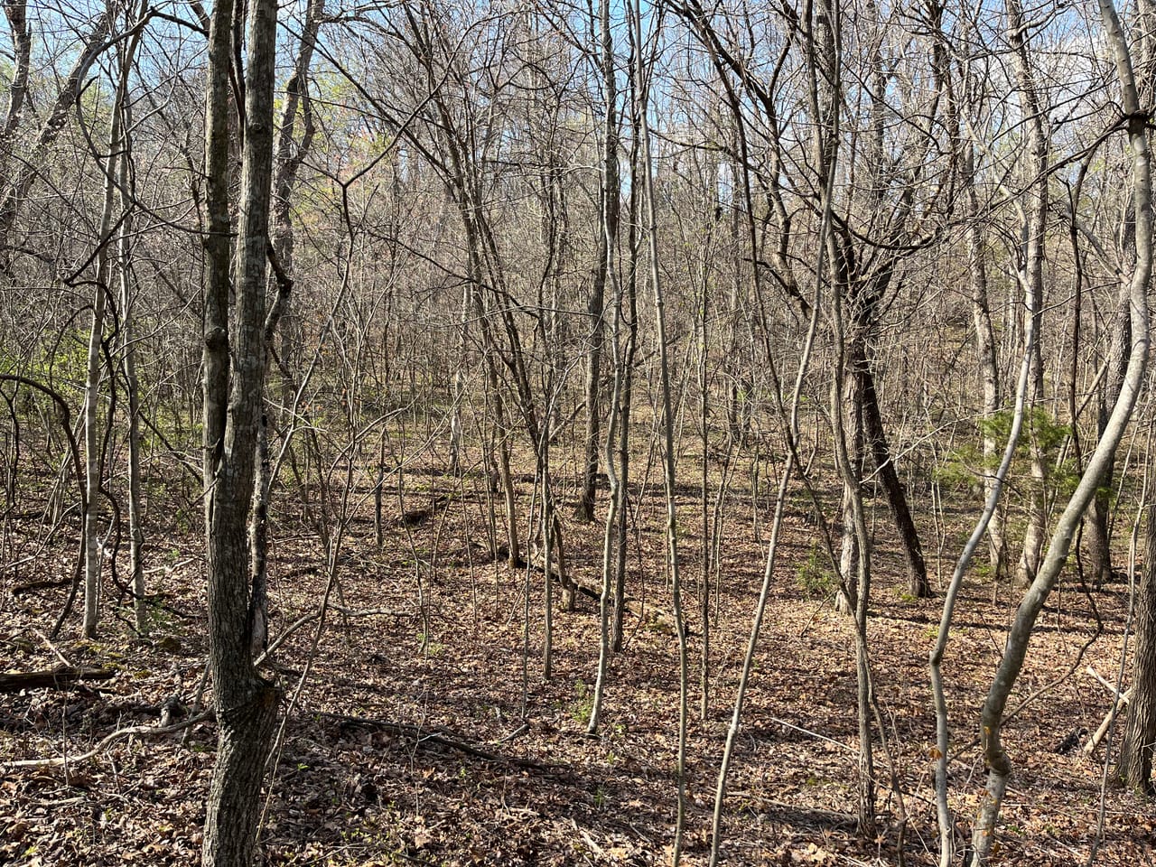 Building Lot at Lindburg Woods