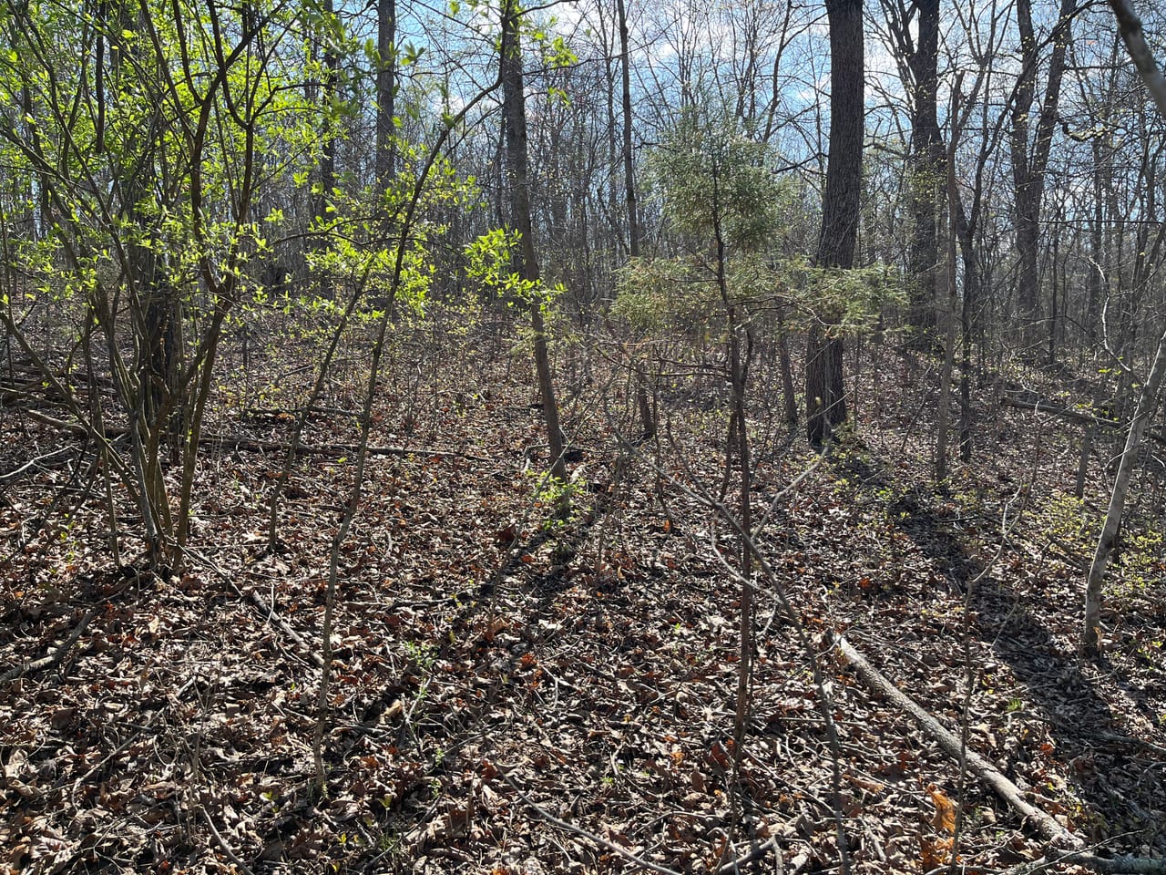 Building Lot at Lindburg Woods