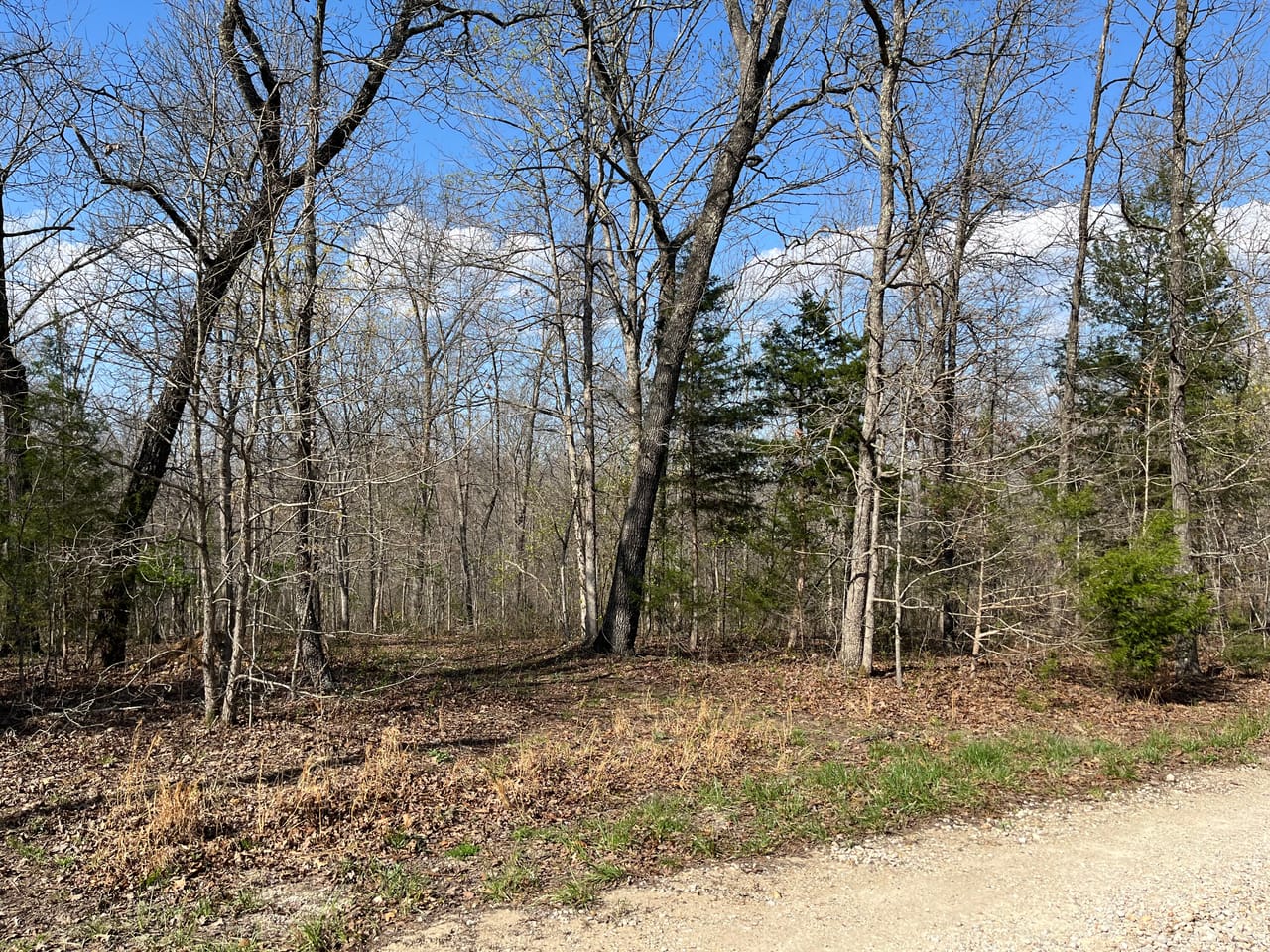 Building Lot at Lindburg Woods