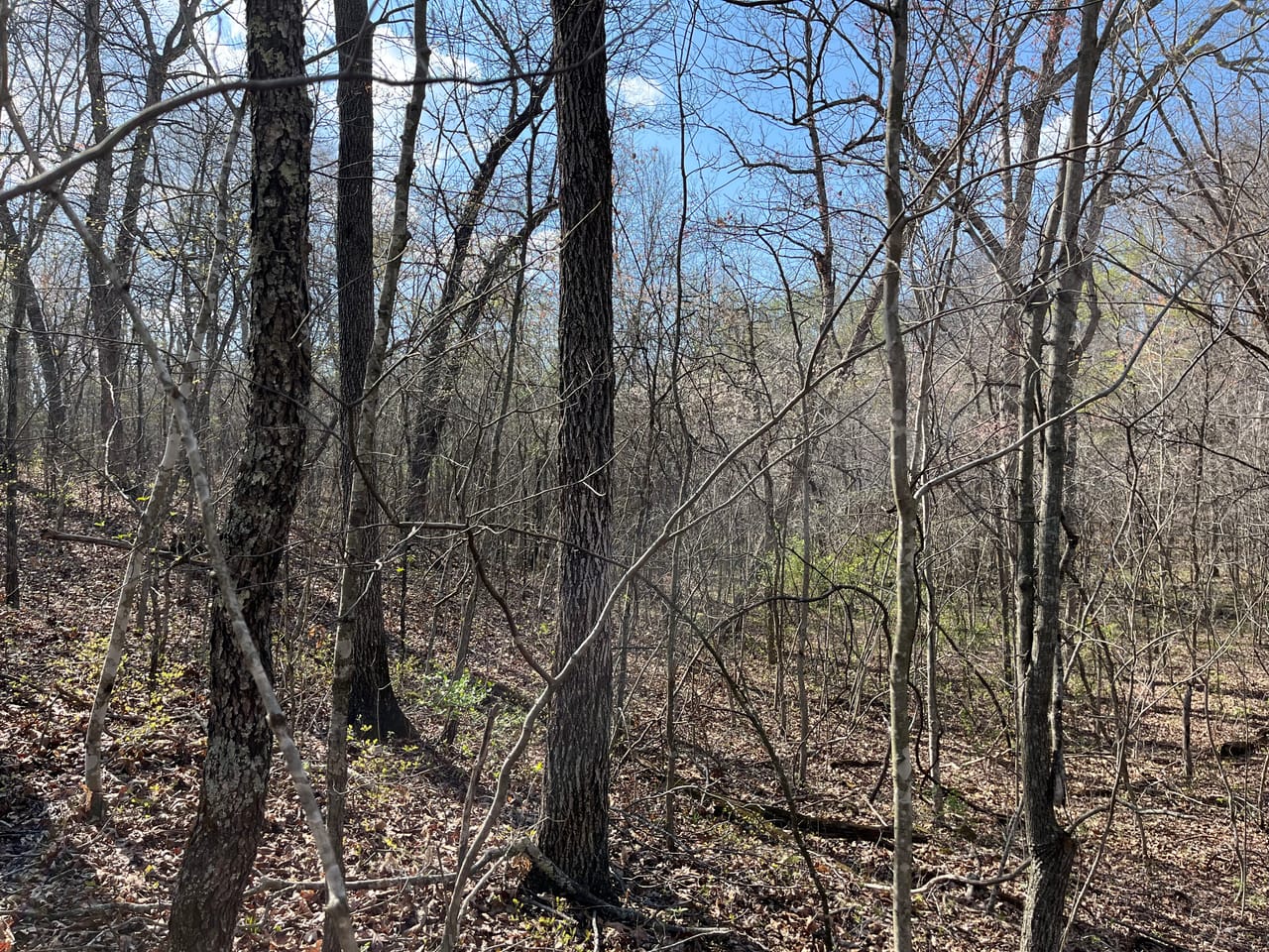 Building Lot at Lindburg Woods