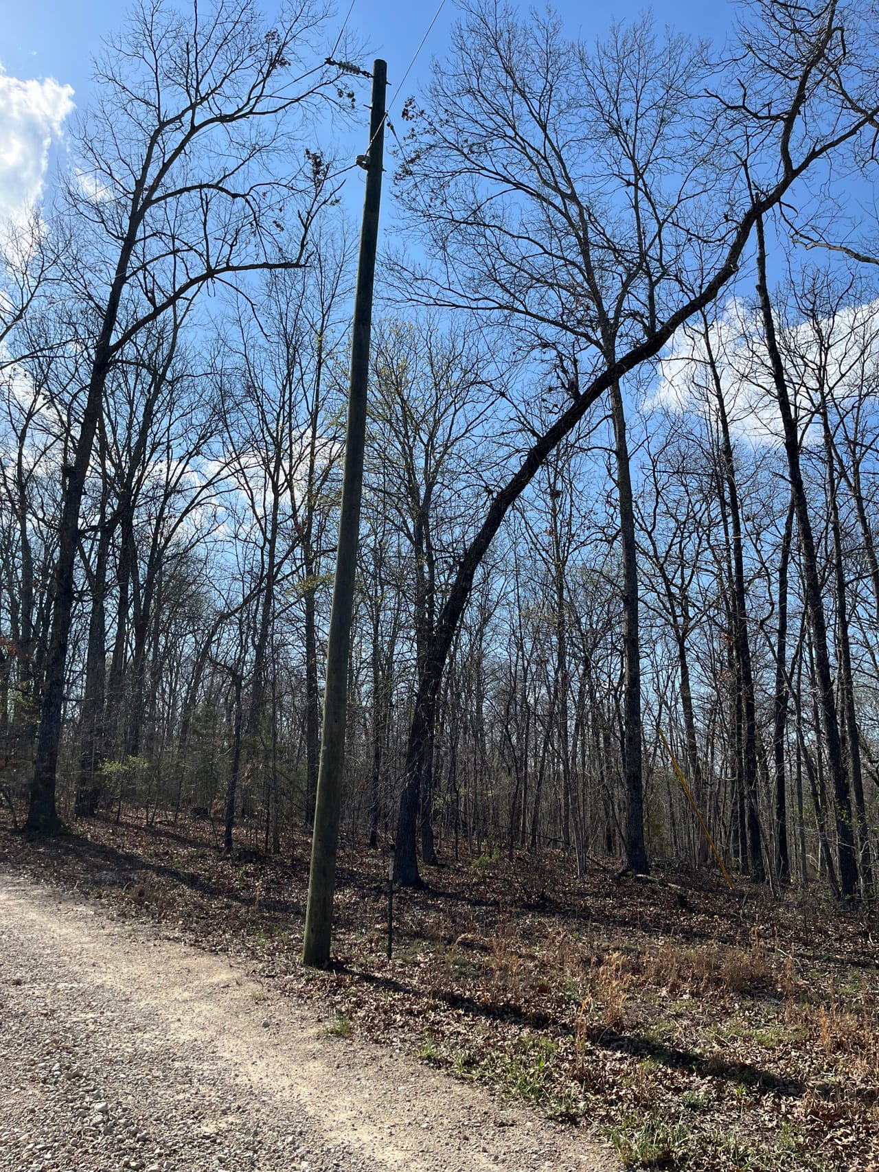 Building Lot at Lindburg Woods