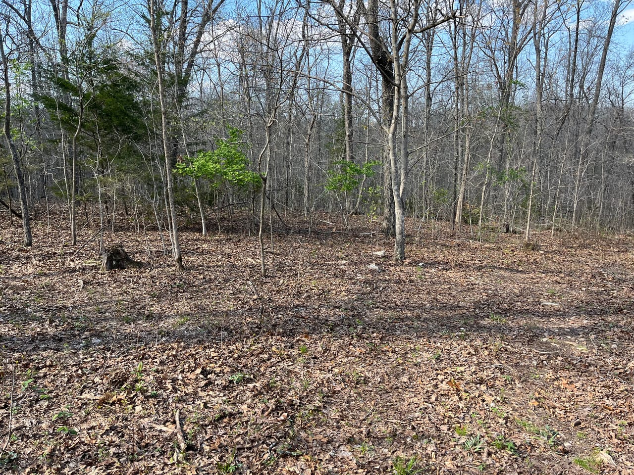 Building Lot at Lindburg Woods