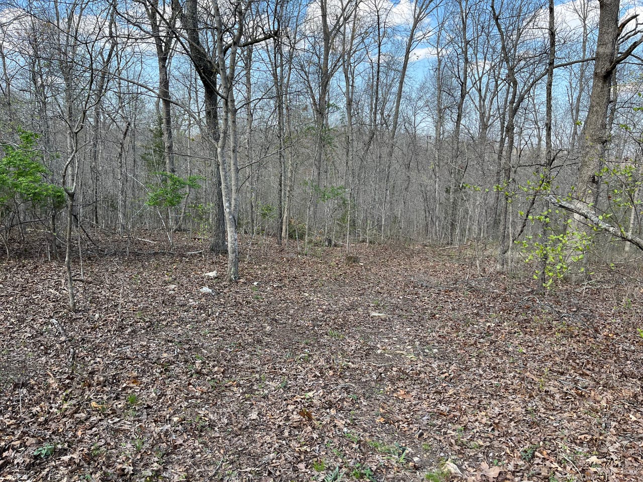 Building Lot at Lindburg Woods