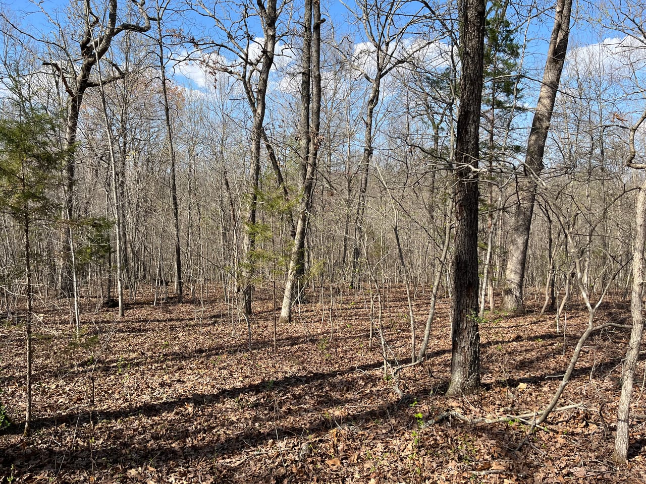 Building Lot at Lindburg Woods
