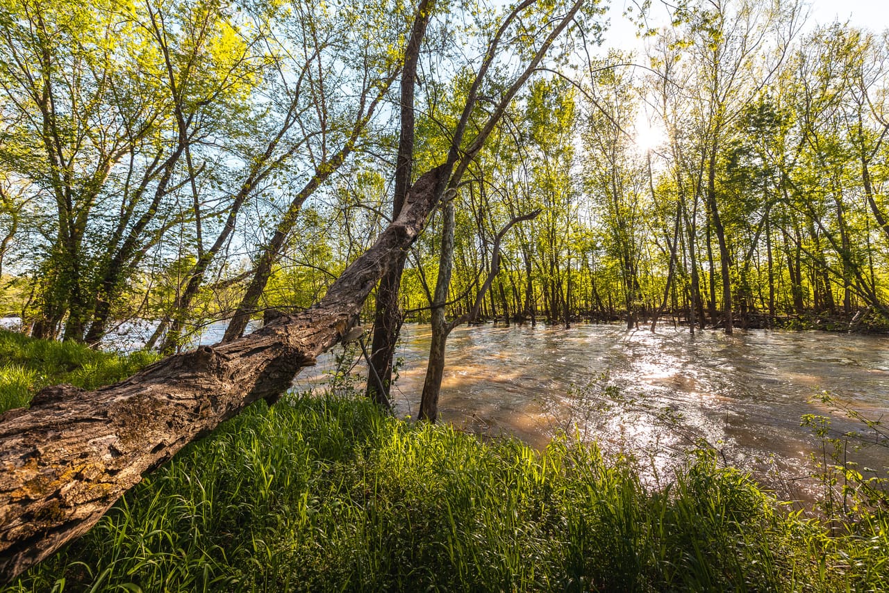 Ozark Drift Getaway