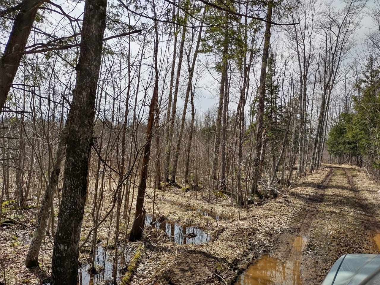 Michigan 40 +/- Parcel 50172299