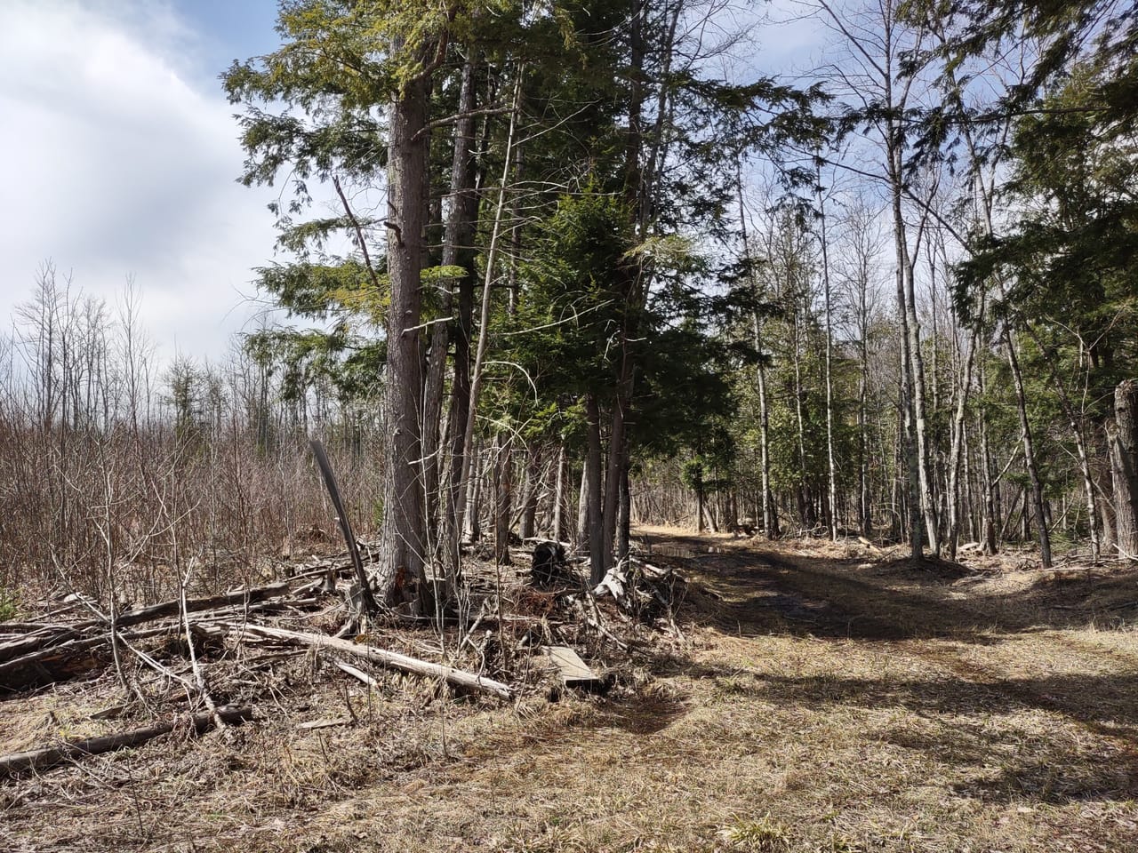 Michigan 40 +/- Parcel 50172299