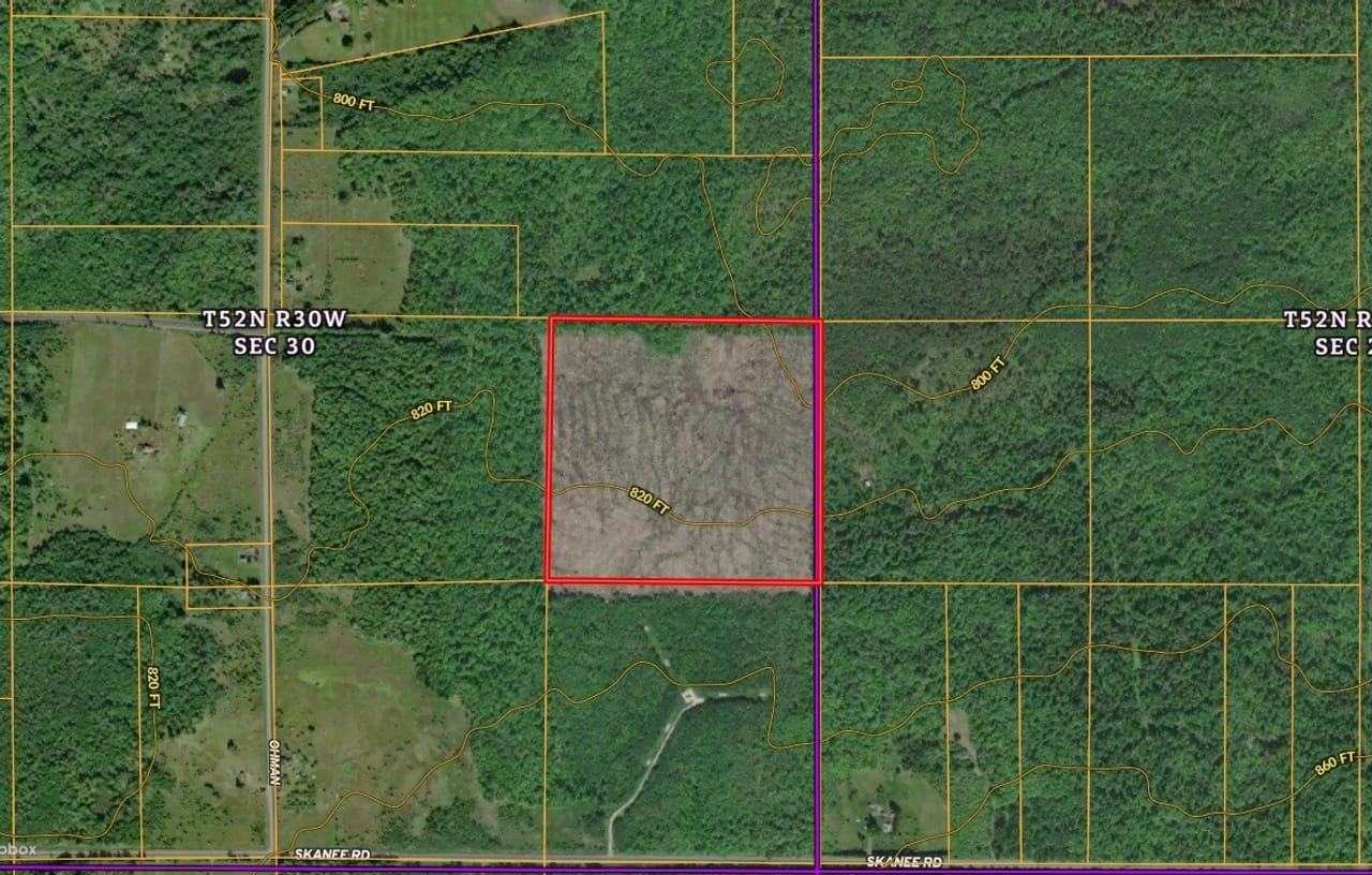 Michigan 40 +/- Parcel 50172299