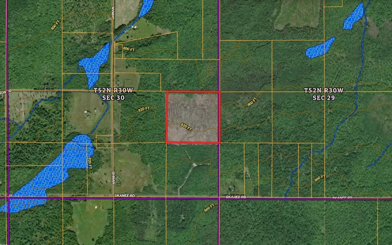 Michigan 40 +/- Parcel 50172299