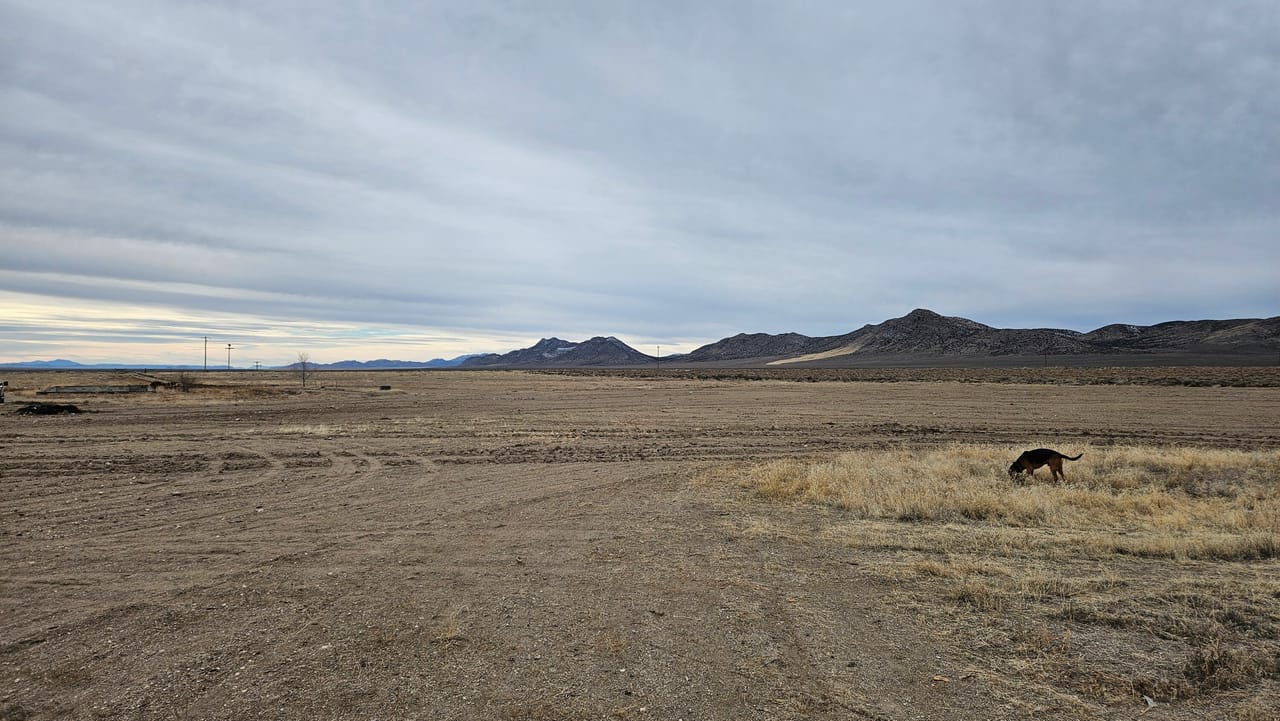 Listing Image 7