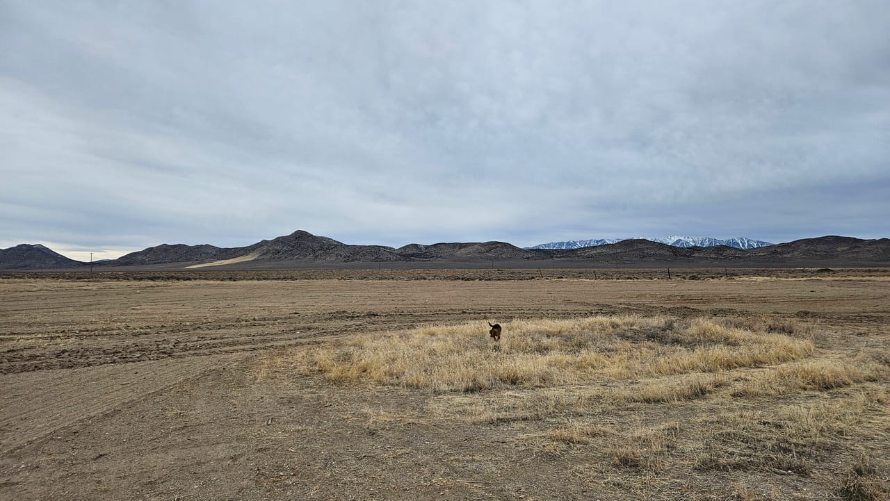 Listing Image 8