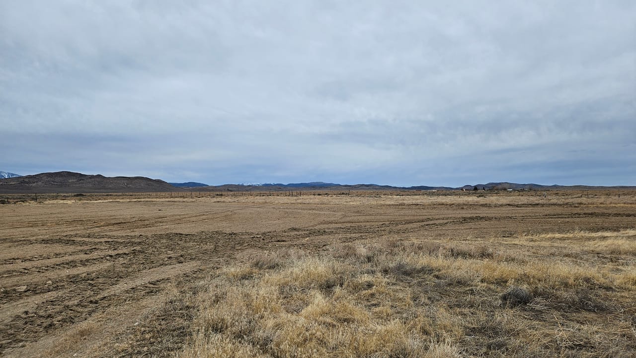 Listing Image 10