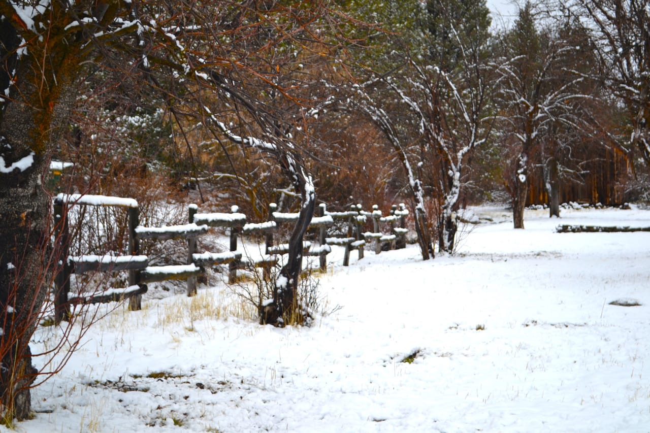 Joseph Creek