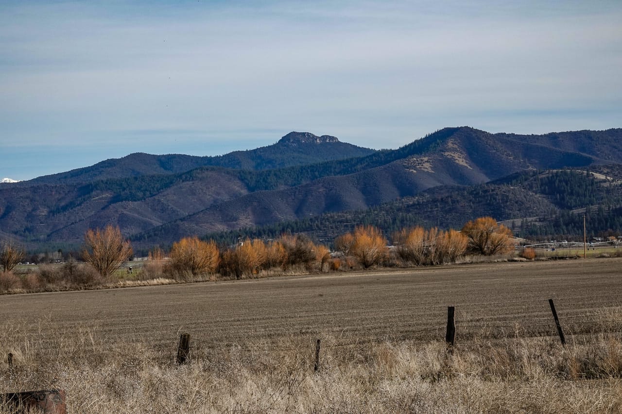 Listing Image 82