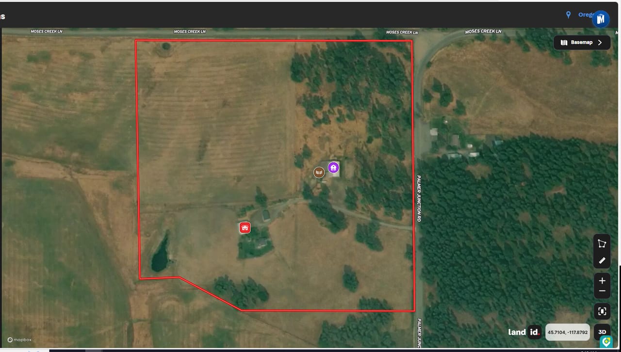 Cattle ranch/Hobby farm