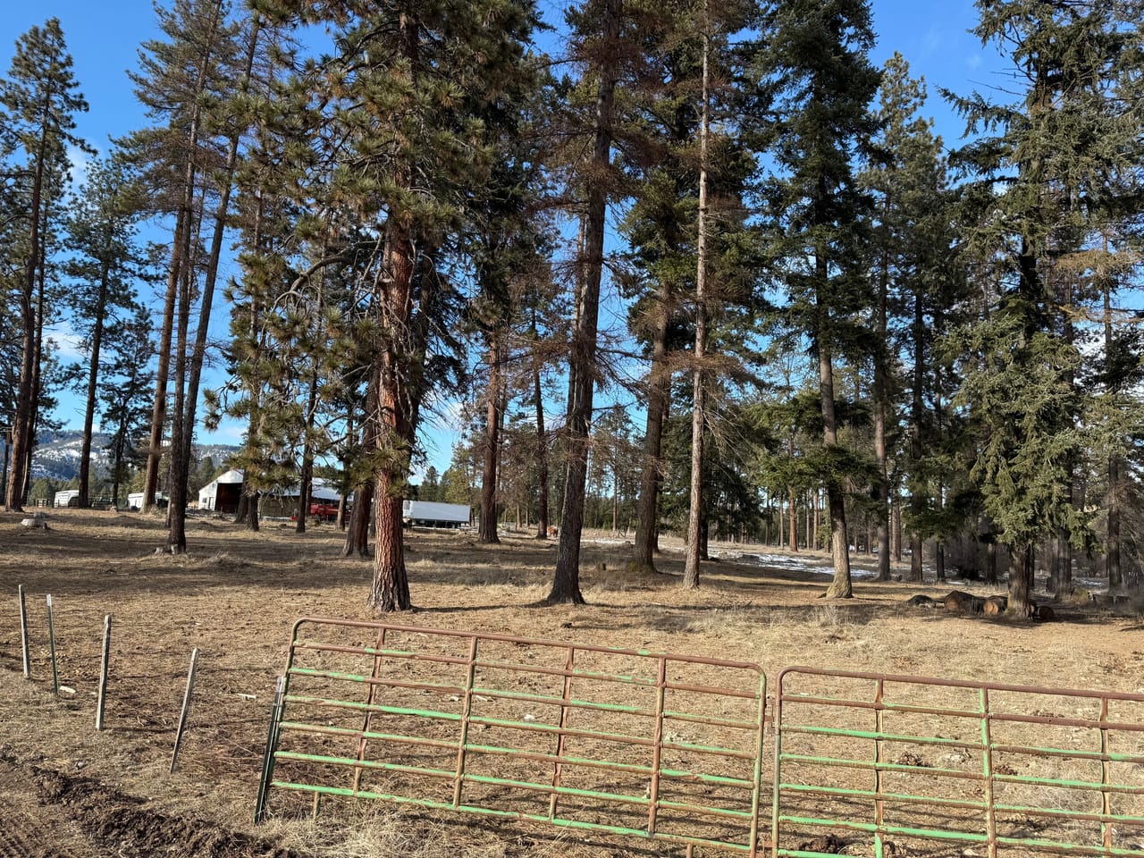Cattle ranch/Hobby farm