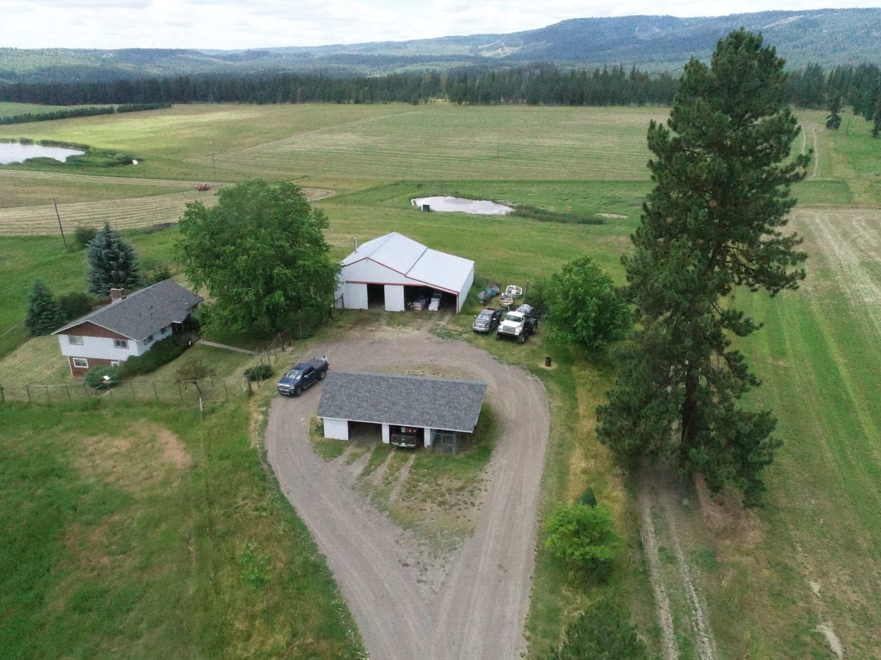 Cattle ranch/Hobby farm