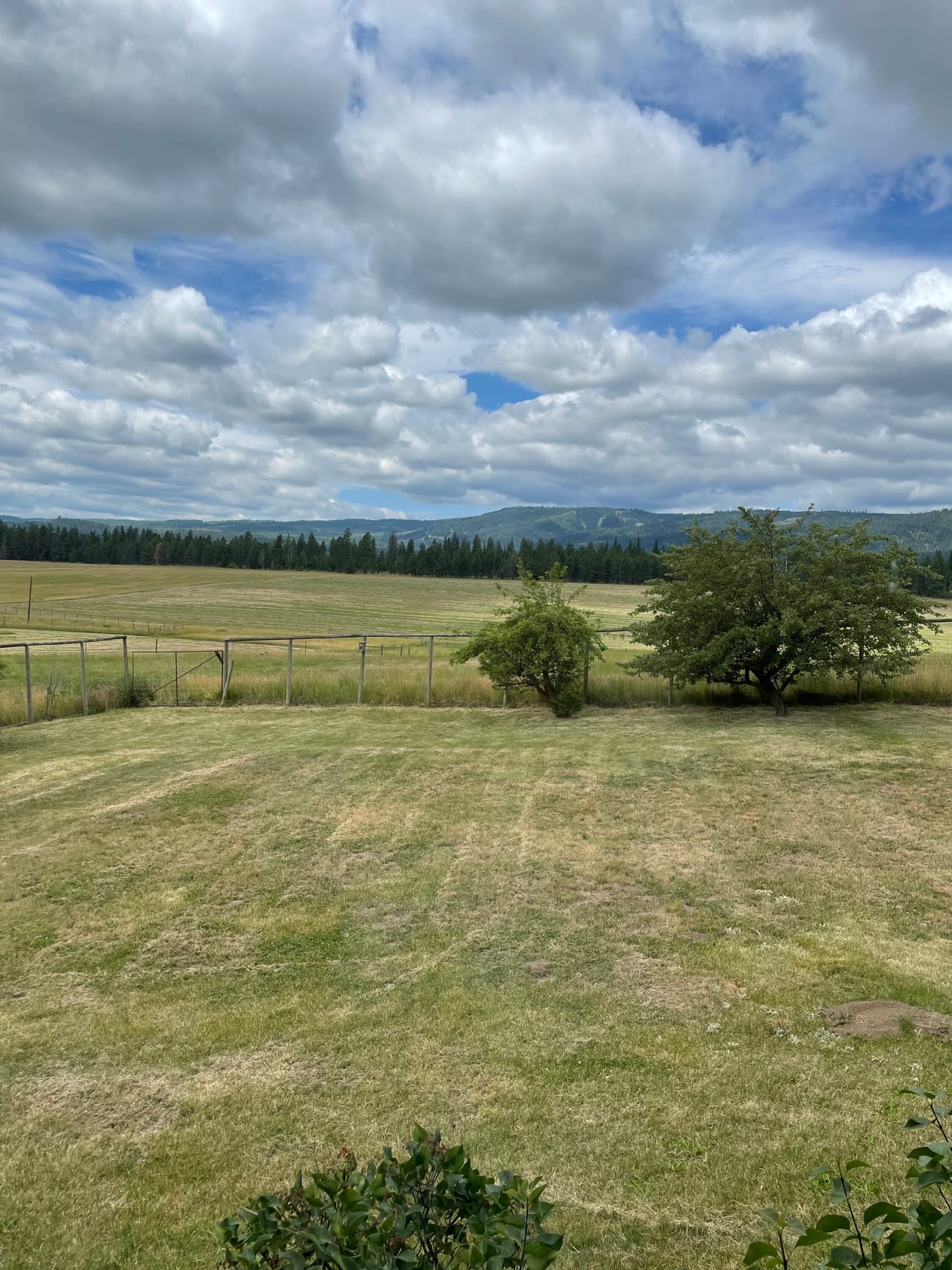 Cattle ranch/Hobby farm