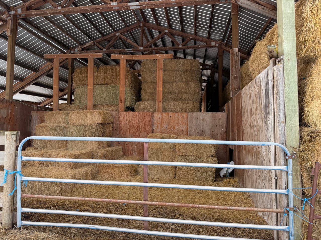 Cattle ranch/Hobby farm