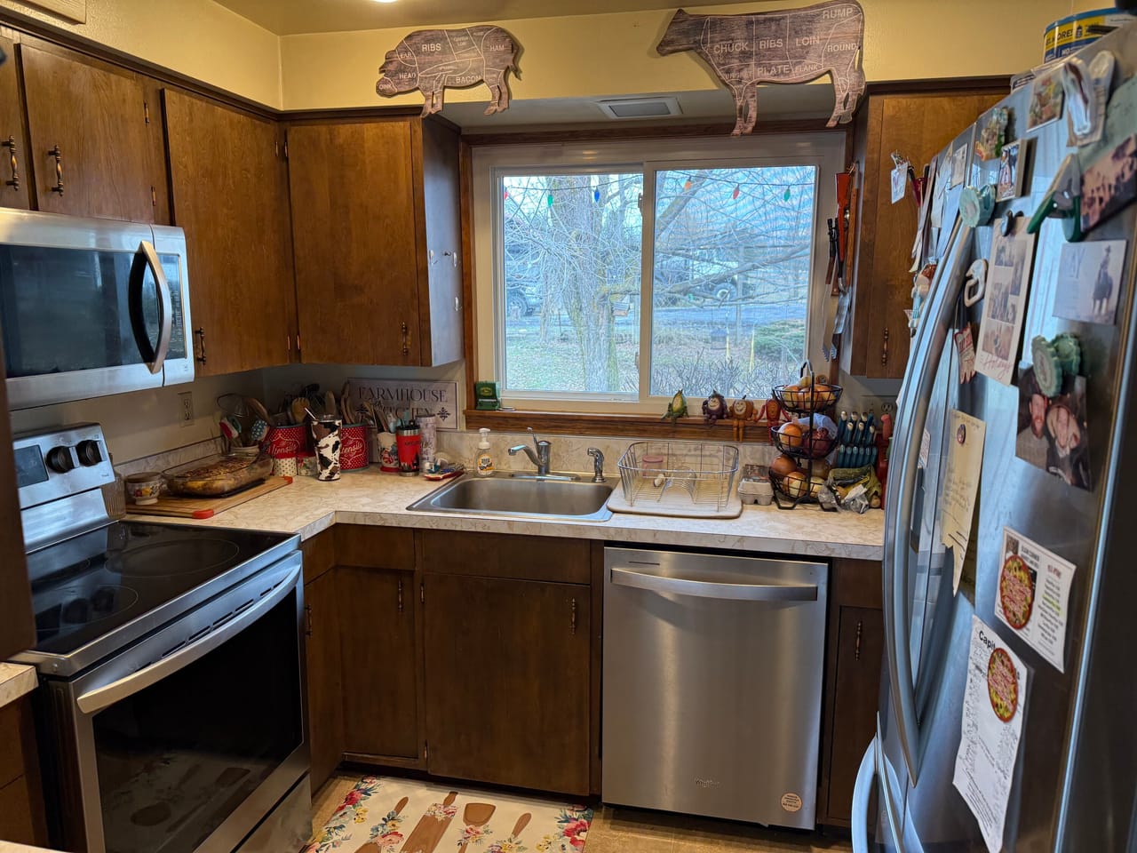 Cattle ranch/Hobby farm