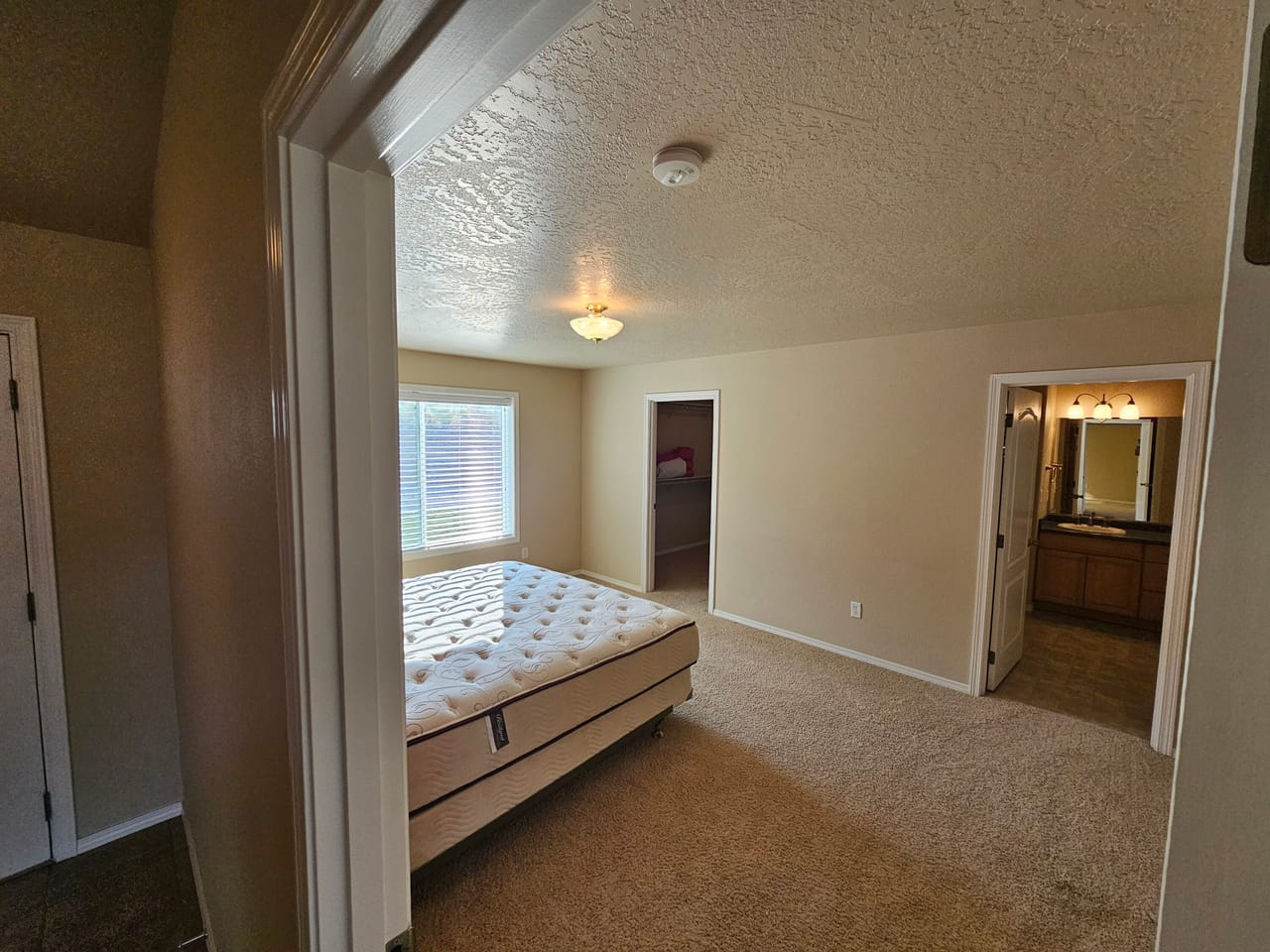 Exceptional Home and Horse Ranch