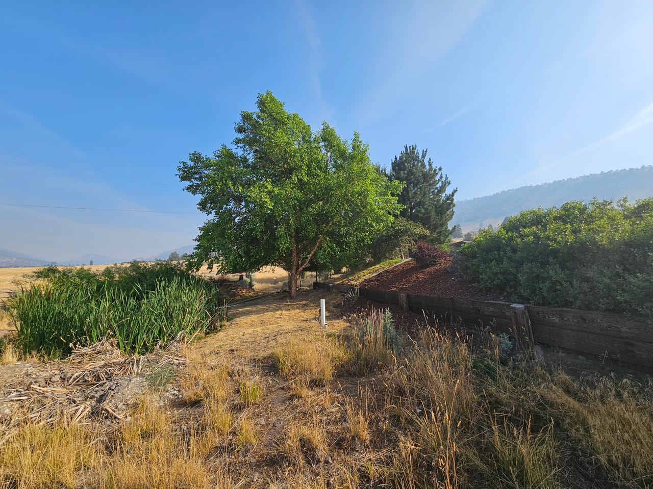 Exceptional Home and Horse Ranch