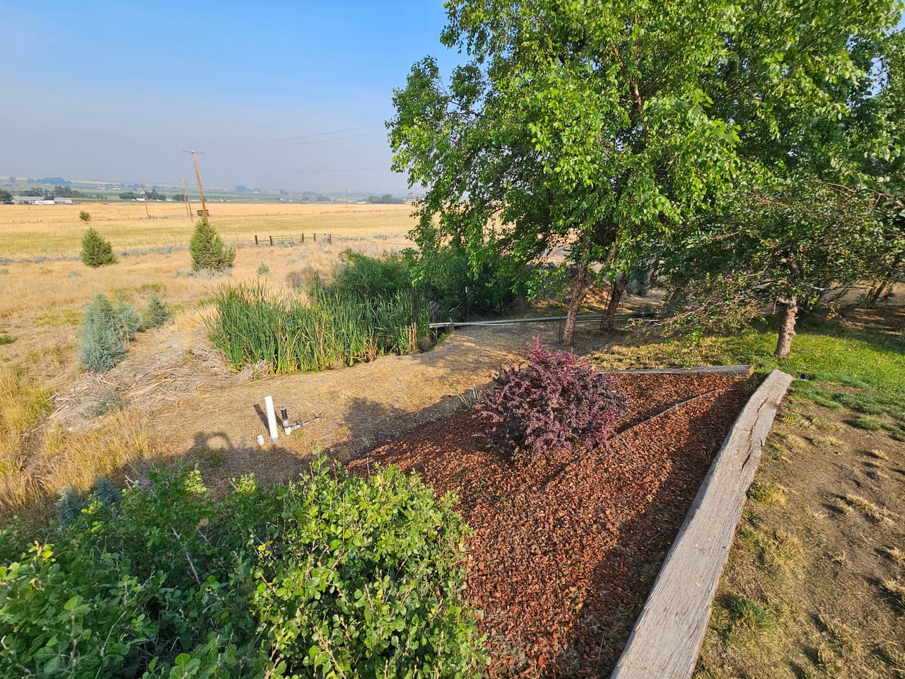 Exceptional Home and Horse Ranch