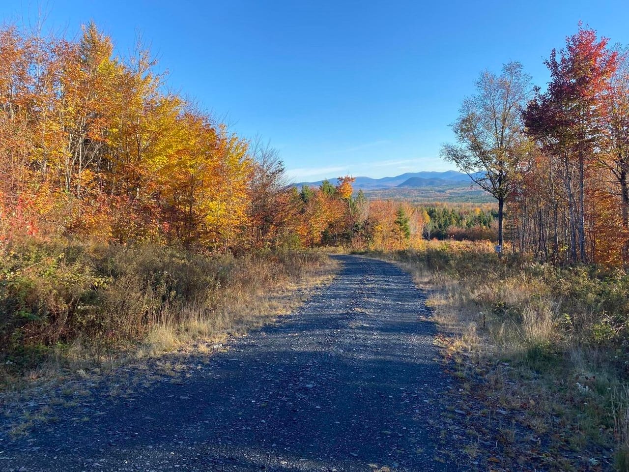 Land in Alpine Ridge Estates - Phase II, Greenville