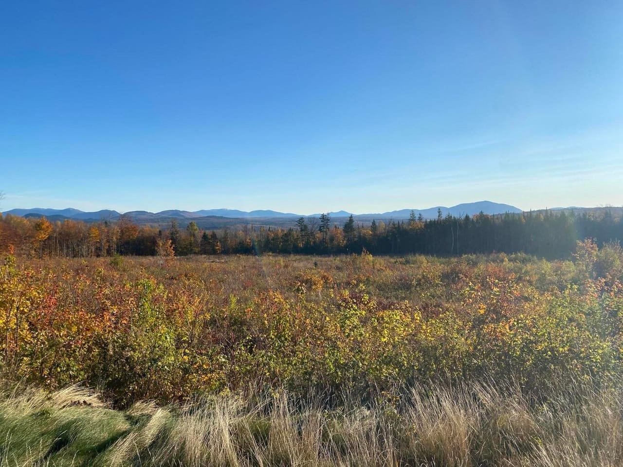 Land in Alpine Ridge Estates - Phase II, Greenville