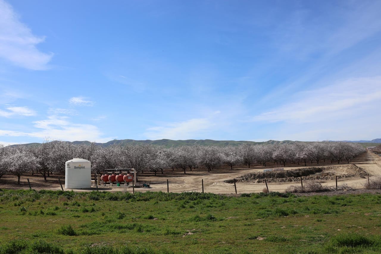 I-5 and Shields II Almonds and Open Ground