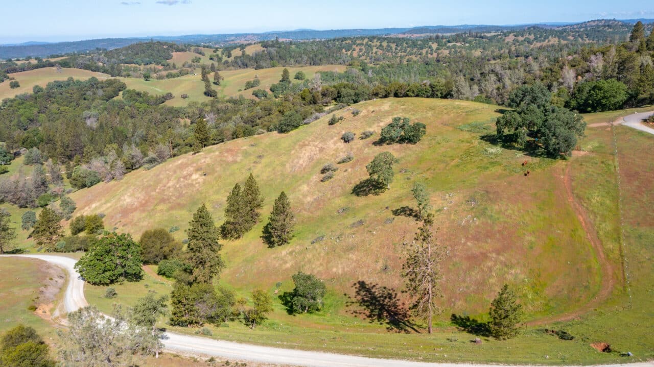 Trembath Mountain Vista