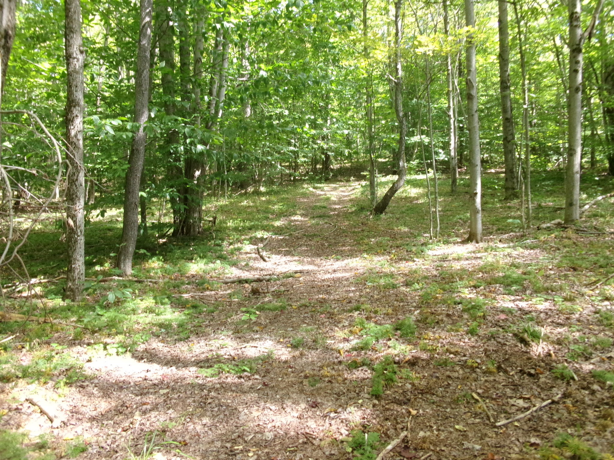 Listing Image 40