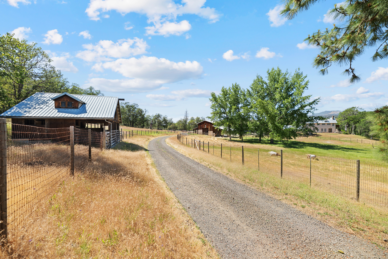 Listing Image 82