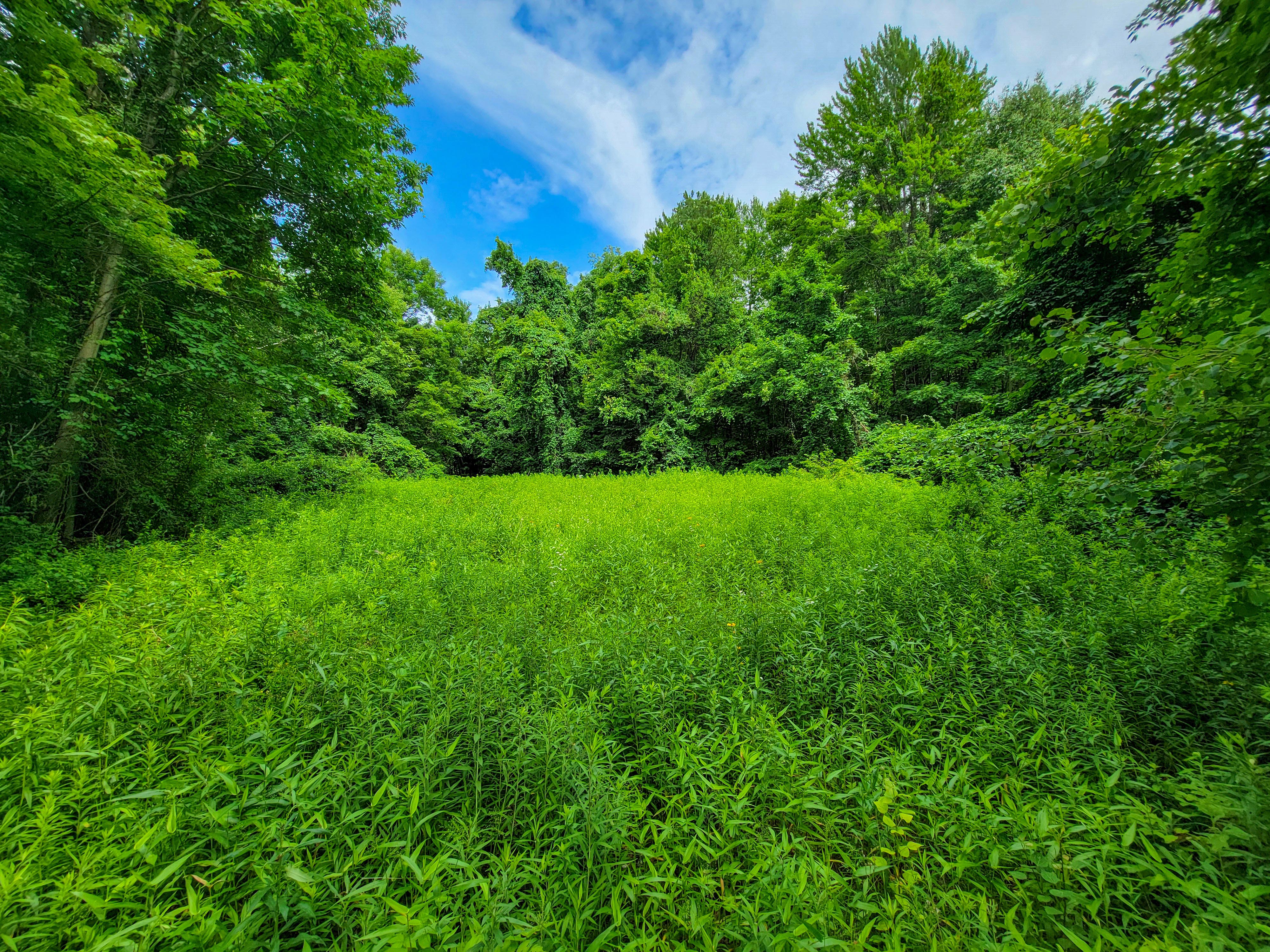 1073 Chapel Rd - Bennington