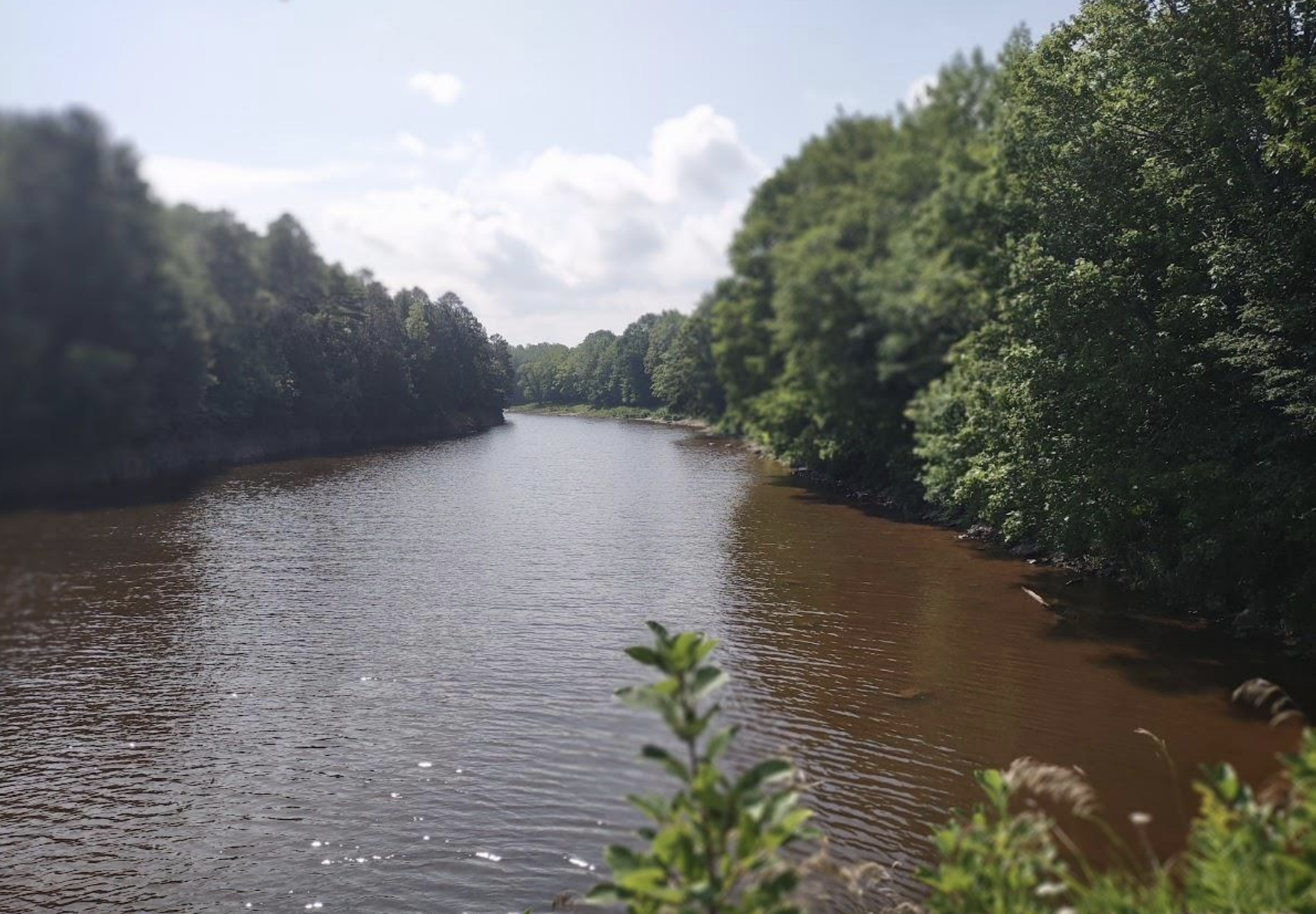 Riverfront with Superior Access 50187997