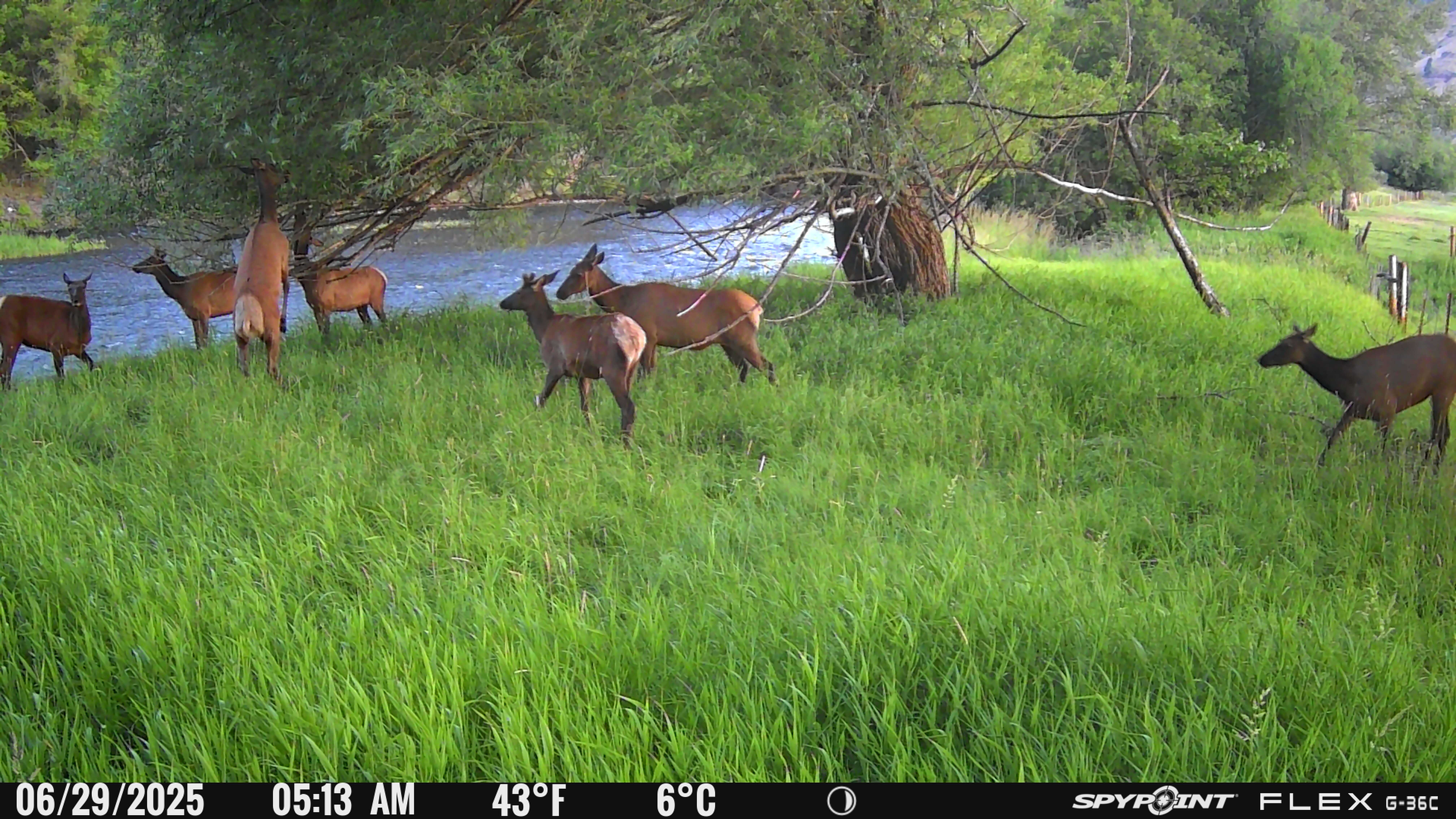 Listing Image 32