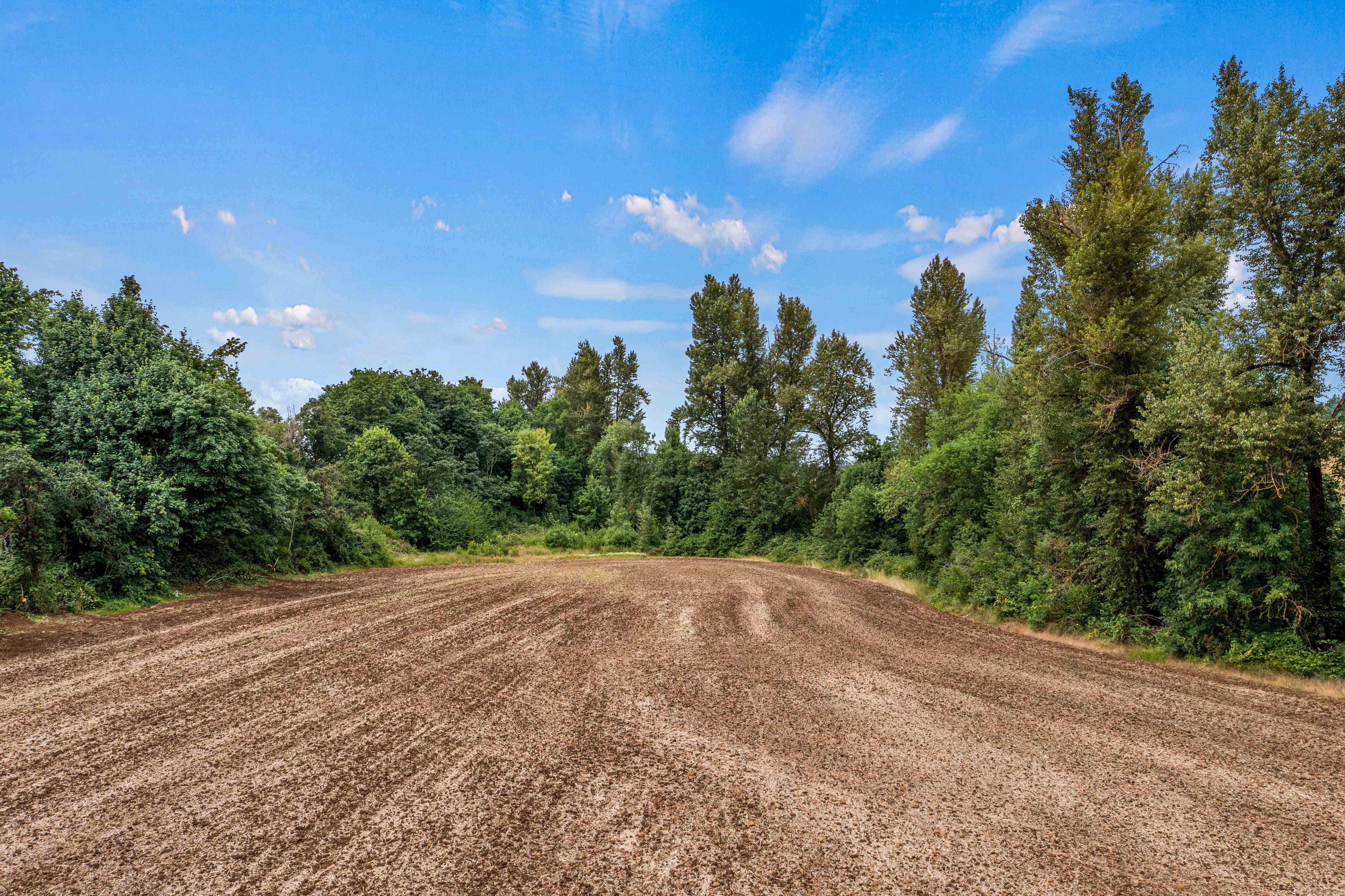 Sublimity 152 — Productive Willamette Valley Farm for Sale with Creek Frontage and Homesite Potential
