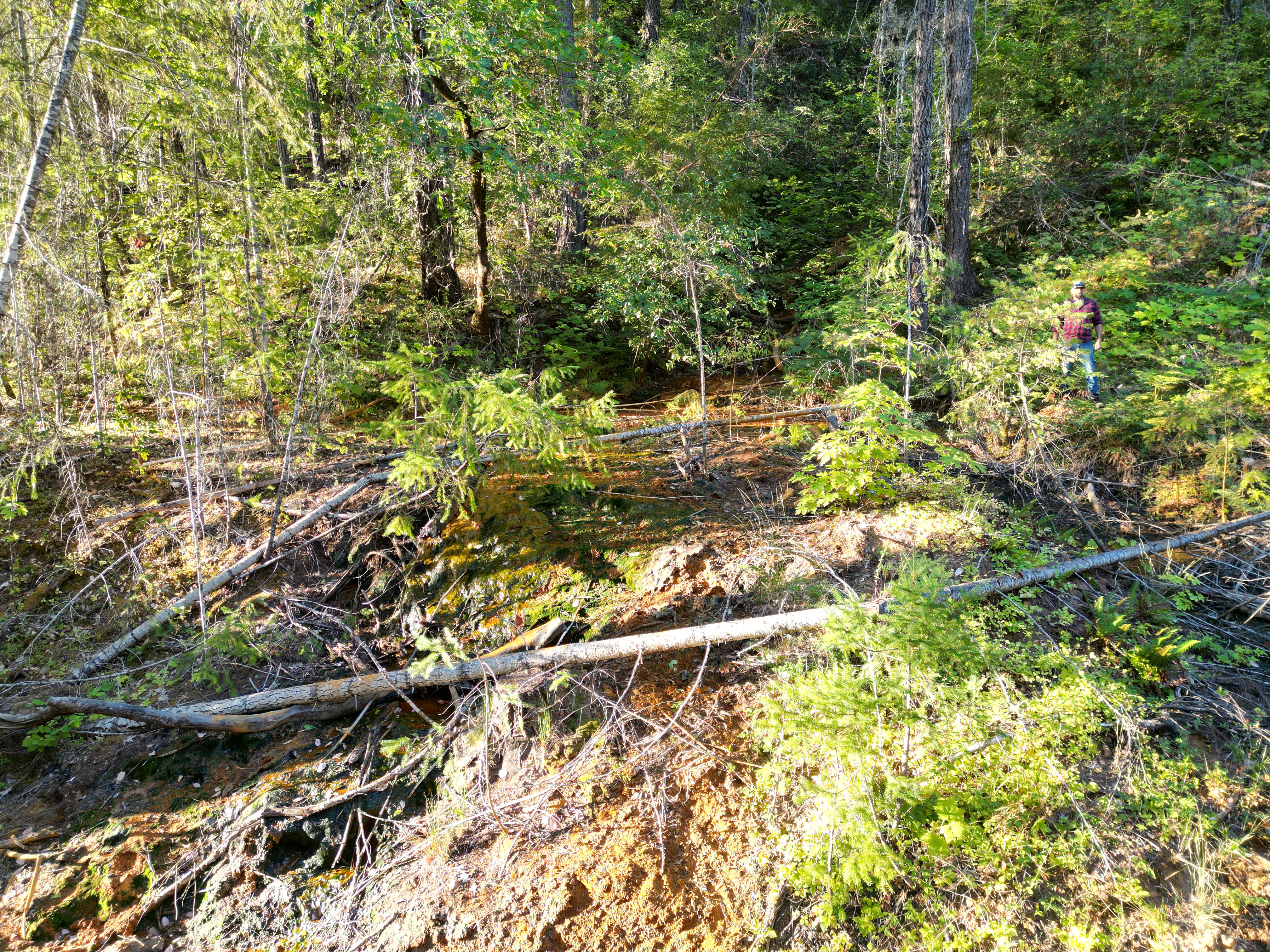 471 AC-E Evans Creek Rd