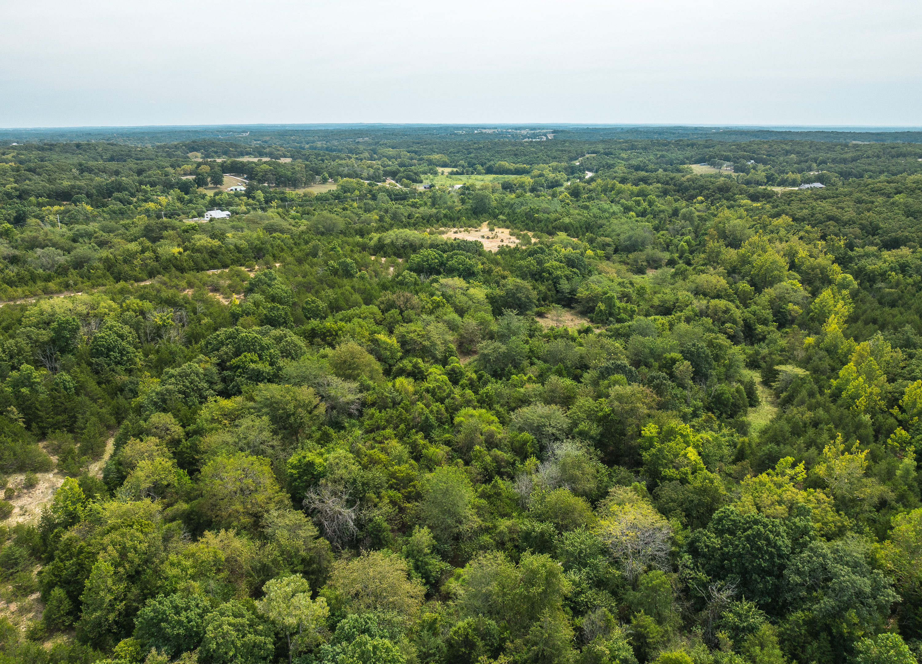 Hickory Hill Hollow