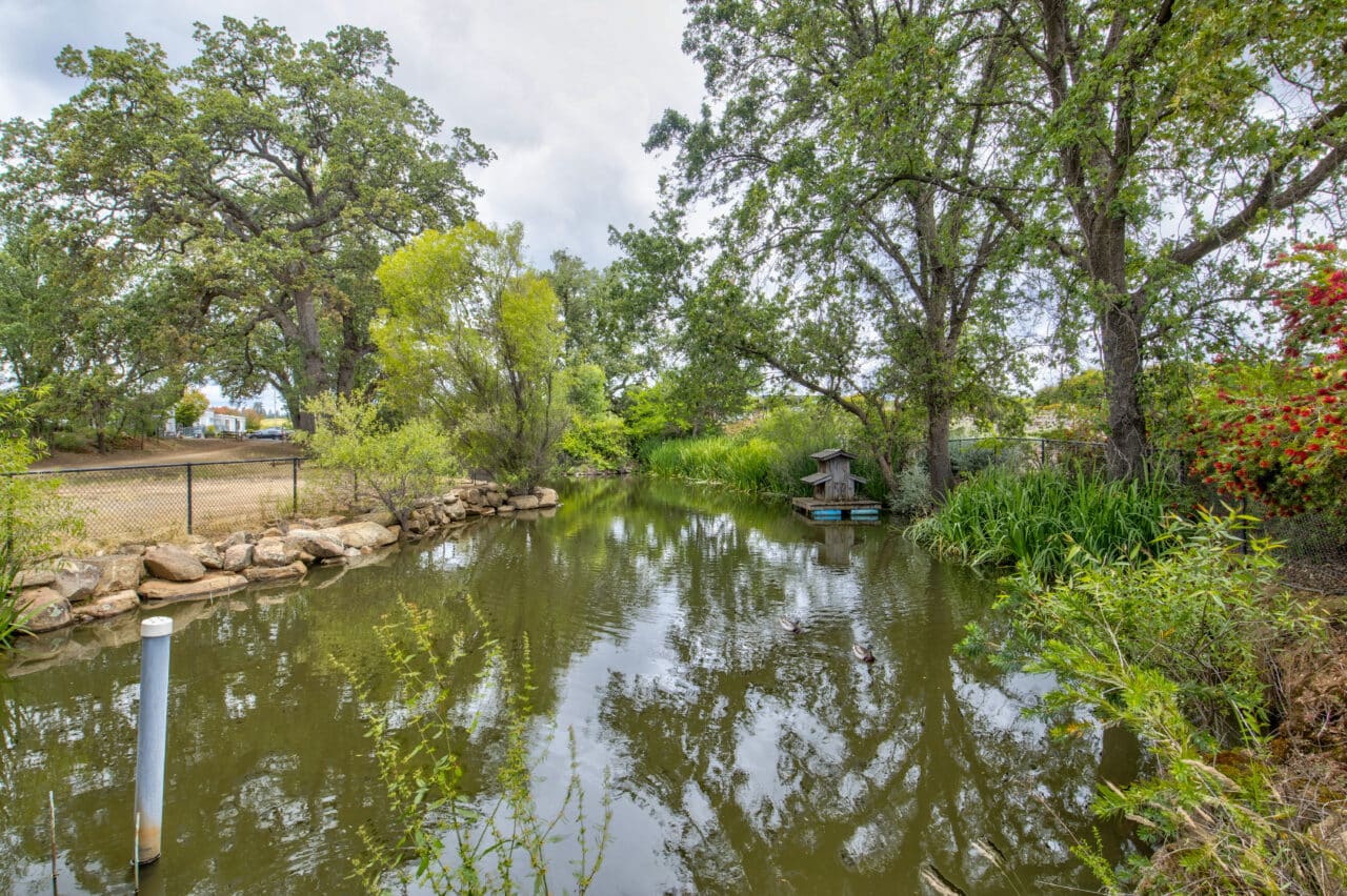 Listing Image 54
