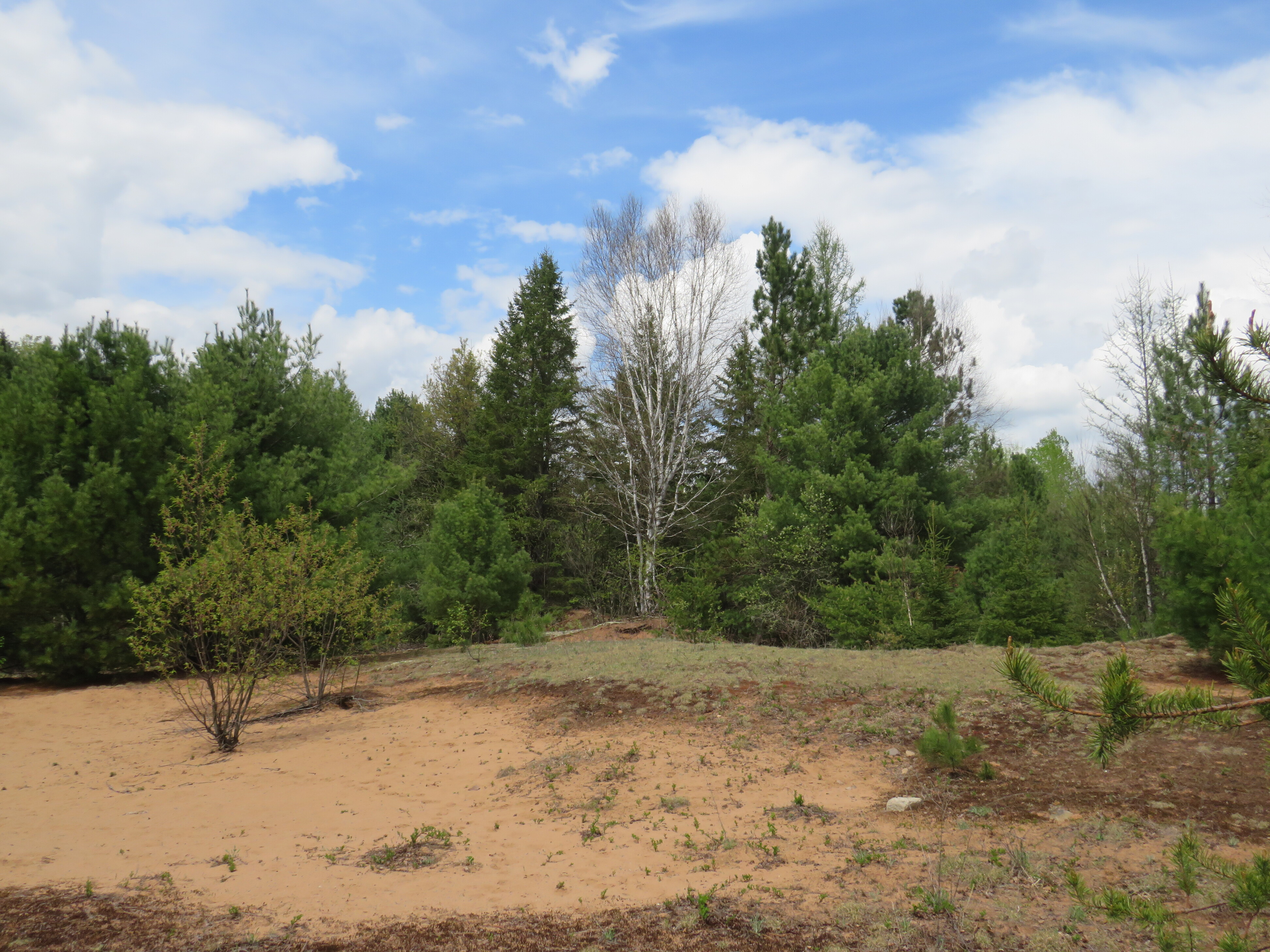 160 Acre Wilderness Retreat 50175391