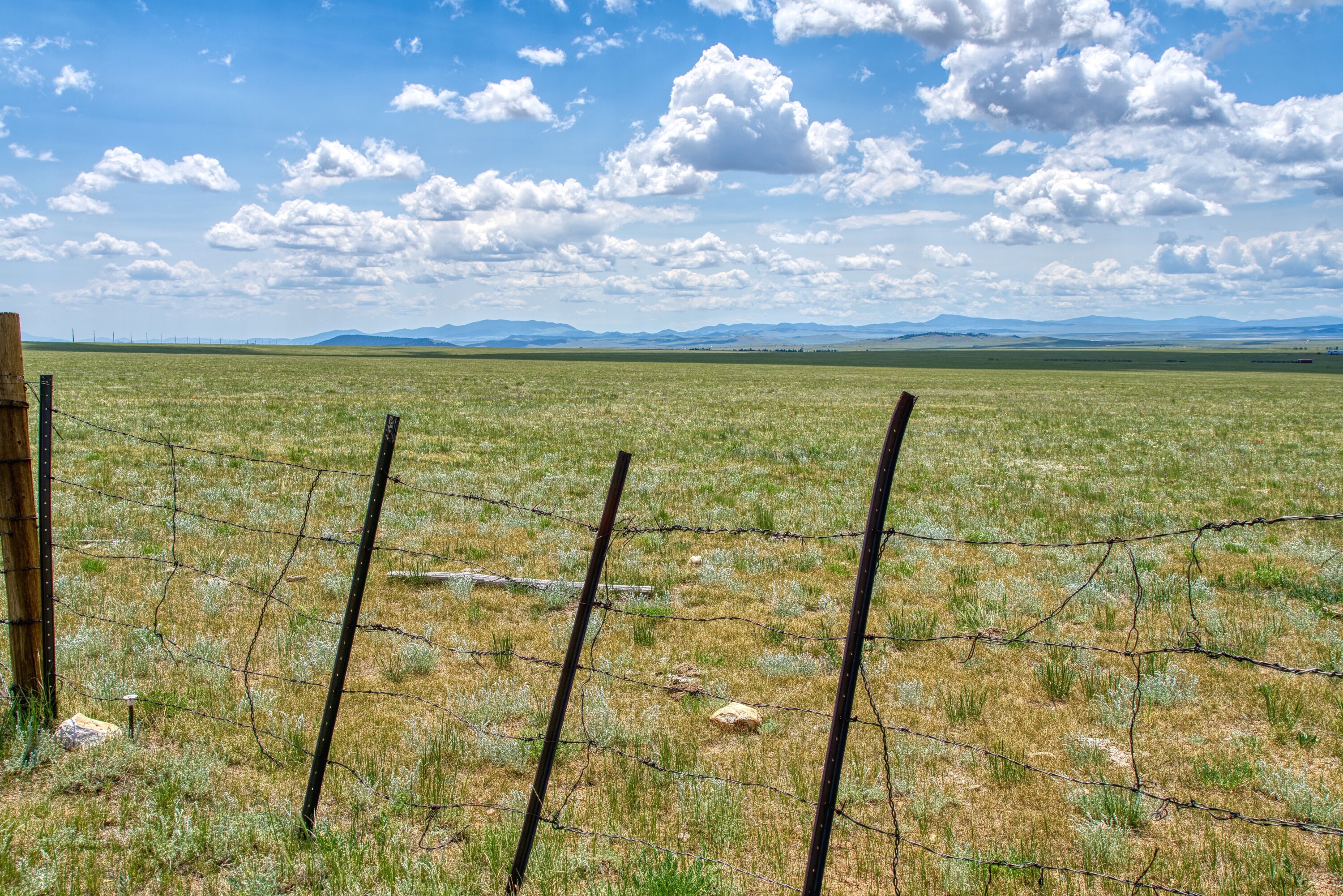 Meier Four Mile Ranch