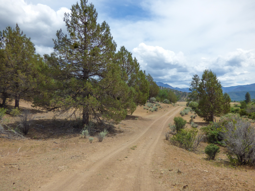 Blacktail Hills Retreat