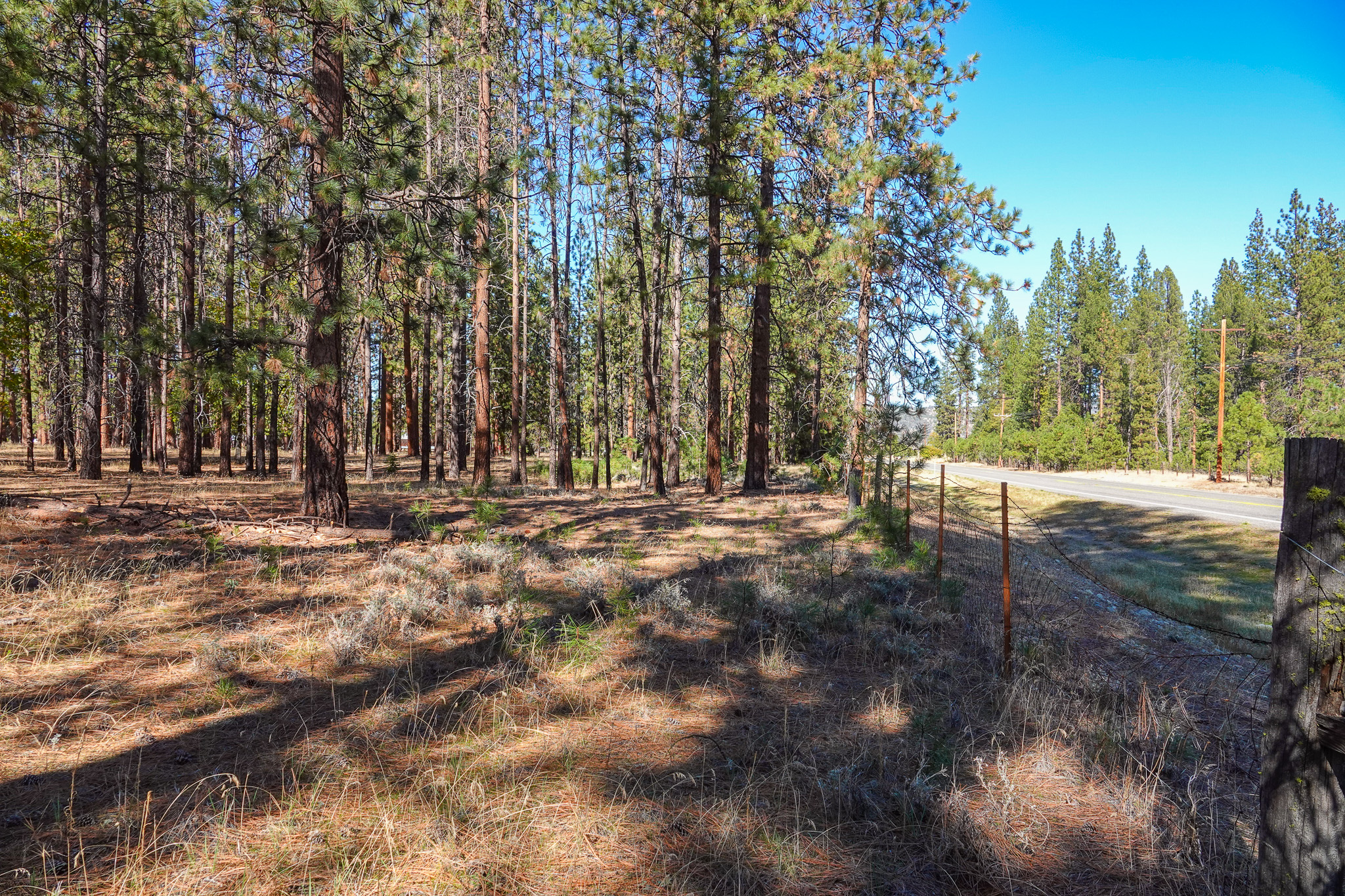 Mountain View Meadow
